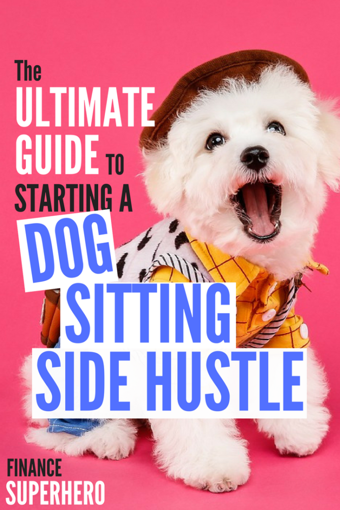 How to Start a Successful Dog Sitting Business on Rover Finance Superhero